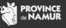 Centre de Santé Provincial