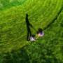 tonte de pelouse par Claude Mahin de Ardennes Plants