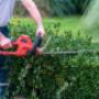 taille de haies par Claude Mahin de Ardennes Plants
