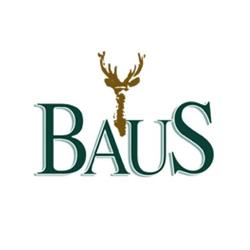Baus