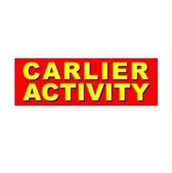 Carlier Activity