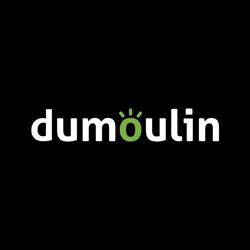 Dumoulin Service NV