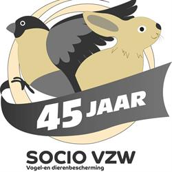 Socio