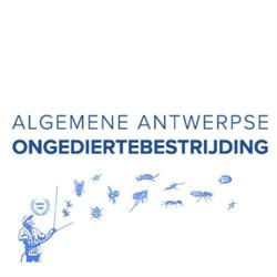 Algemene Antwerpse Ontsmettingen Ongediertebestrijding