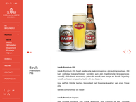 Brouwerij Bavik N.v.