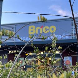 Brico Ronse