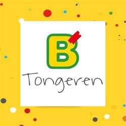 Brico Tongeren