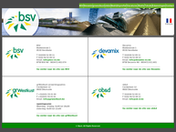 BSV