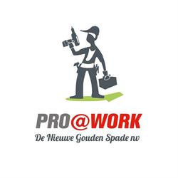 De Nieuwe Gouden Spade - Pro@Work