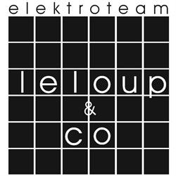 Electroteam Leloup & Co.