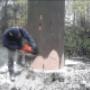 espaces formation ouvrier forestier