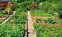 Ferme Du Grand Spinois