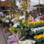 Intratuin Lovendegem Woondecoratie