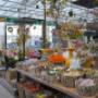Intratuin Lovendegem Paasassortiment