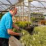 Intratuin Lovendegem Collega