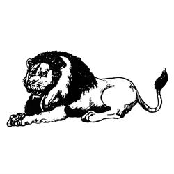 Le Lion Droguerie