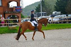 Haras des Quatre Chemins