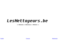 Les Nettoyeurs