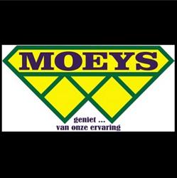 Moeys Vp nv