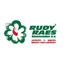 Raes Rudy nv