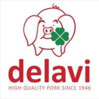 Delavi NV