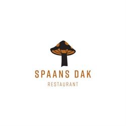 SPAANS DAK