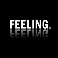 FEELING Eclairagistes SRL