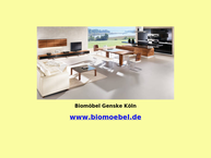 Website van De Leger Harry 