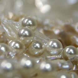 SilvermoodS - groothandel stenen, zoetwaterparels, zilveren juwelenonderdelen