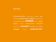 Website van Instituut Ann Tielens 