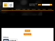 Website van Garage Bogaerts 