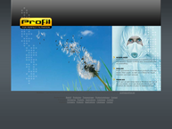Website van PROFIL bv 