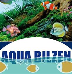 Aqua bilzen