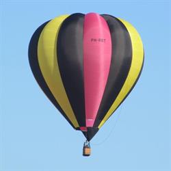 Rabbits Ballooning