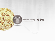 Website van Escaut Valley 