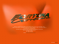 Fortuna G., Carrosserie
