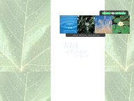 Eco Consult & Systems
