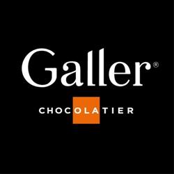 Galler Ixelles