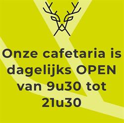 Camping & cafetaria Holsteenbron