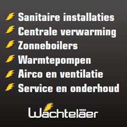 Wachtelaer