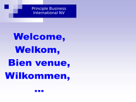 Principle Business Intern nv