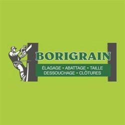 Borigrain