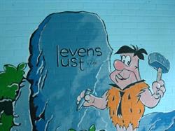 Levenslust vzw BuSO, MPI, BuBaO, Internaat