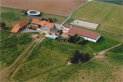 Paardenpension De Helhoek
