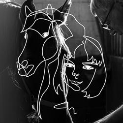 Les Amis des Chevaux du Marais asbl