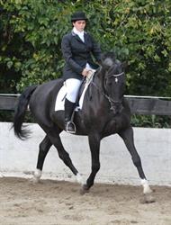 Ecurie du Compère asbl