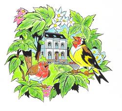 Chant des Oiseaux