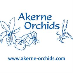 Akerne Orchides