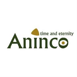 Aninco NV