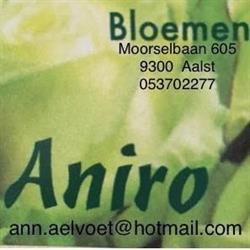 Aniro nv